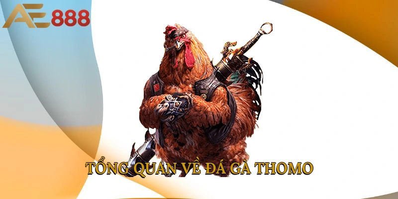 Tổng quan về đá gà Thomo