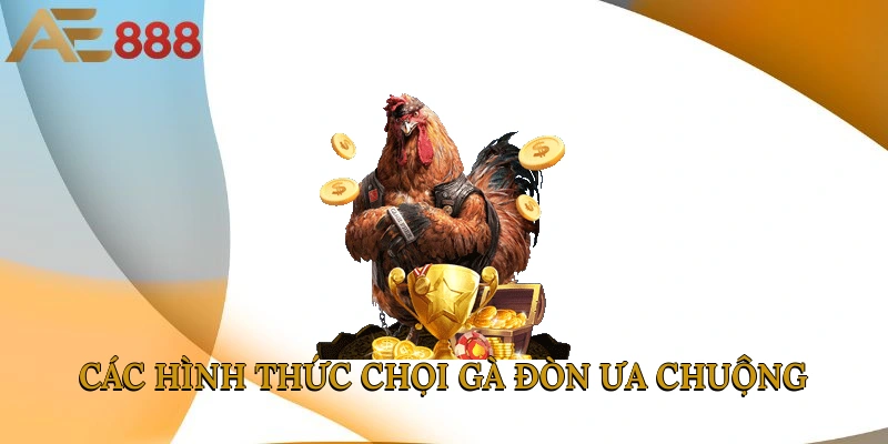 Các hình thức chọi gà đòn ưa chuộng