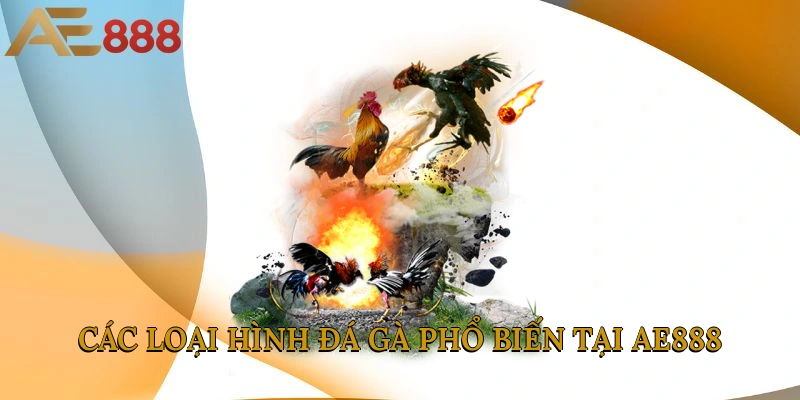 Các loại hình đá gà phổ biến tại AE888 