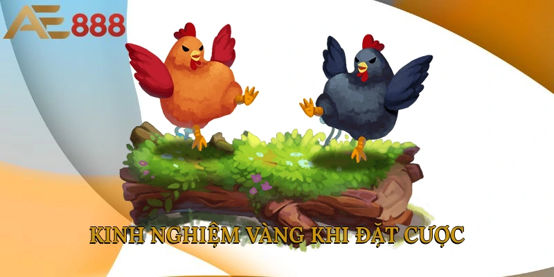 Kinh nghiệm vàng khi đặt cược