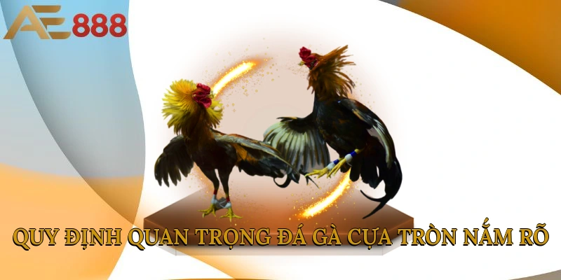 Quy định quan trọng đá gà cựa tròn nắm rõ