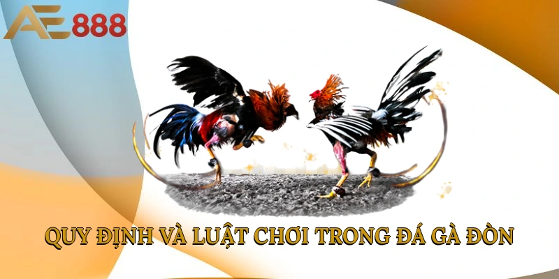 Quy định và luật chơi trong đá gà đòn