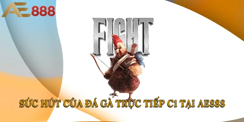 Sức hút của đá gà trực tiếp C1 tại AE888 