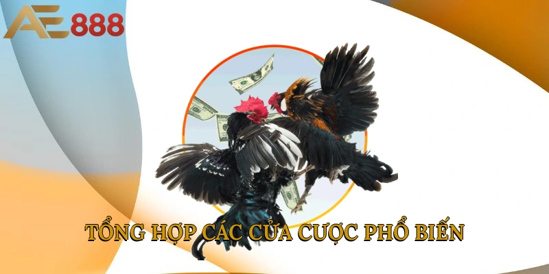 Tổng hợp các cửa cược phổ biến