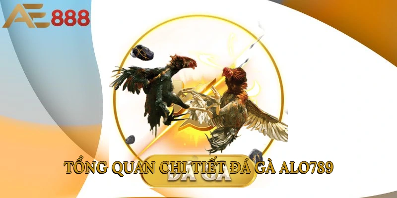 Tổng quan chi tiết đá gà ALO789