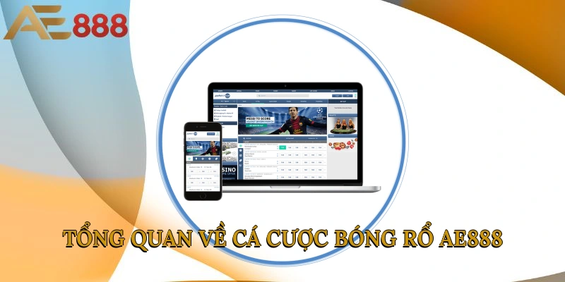 Tổng quan về cá cược bóng rổ AE888